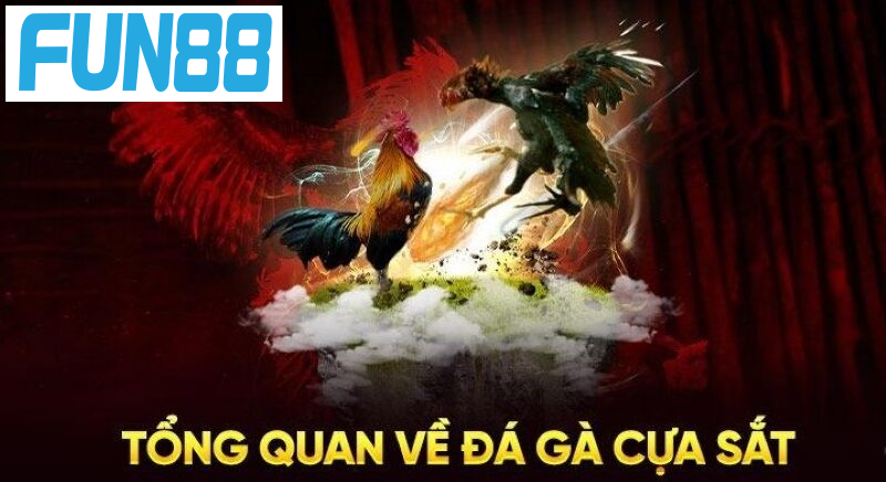 Cựa sắt thường được sư kế gắn vào gia tăng sự hấp dẫn