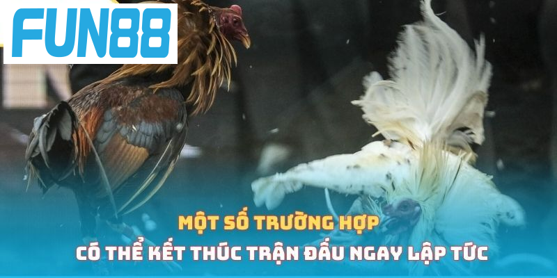 Một số trường hợp có thể kết thúc trận đấu ngay lập tức