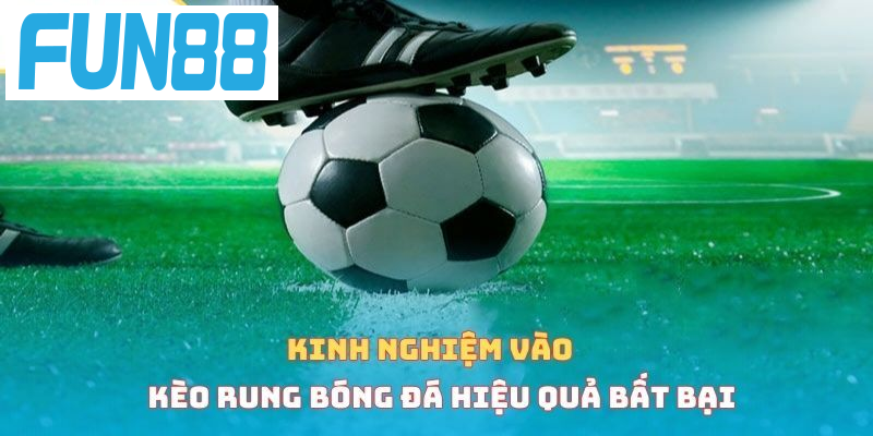 Kinh nghiệm vào kèo rung bóng đá hiệu quả bất bại