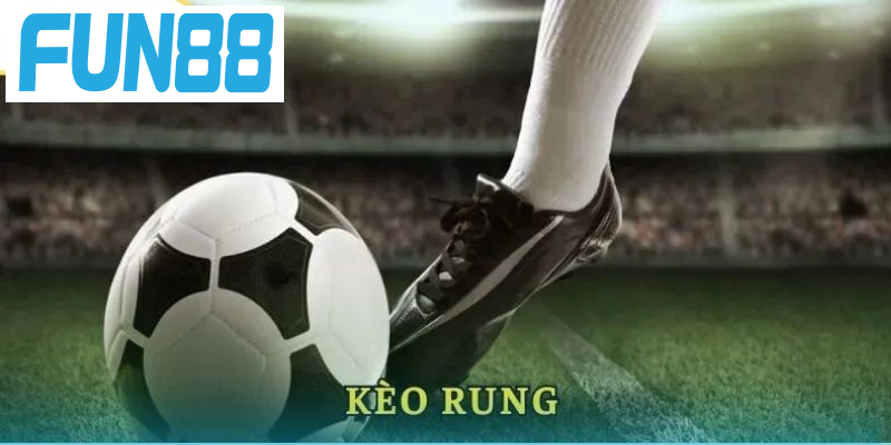 Rung góc – Một trong số loại hình rung phổ biến