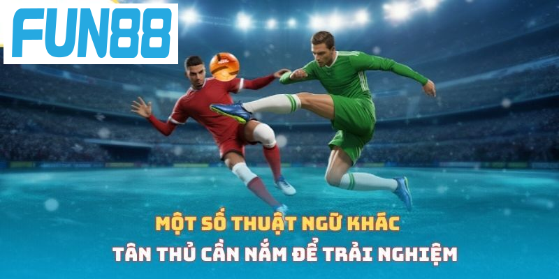 Một số thuật ngữ khác tân thủ cần nắm để trải nghiệm