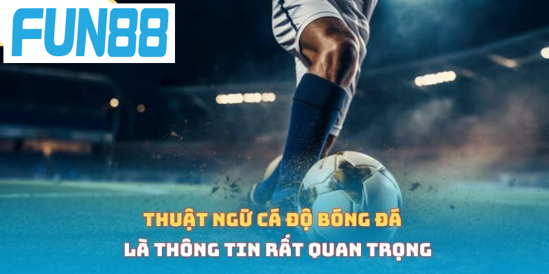 Thuật ngữ cá độ bóng đá là thông tin rất quan trọng