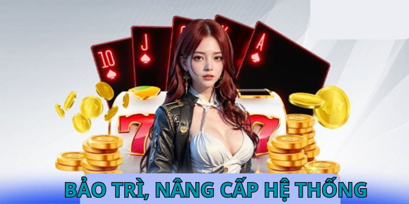 Hệ thống của chúng tôi thường xuyên bảo trì để mang đến chất lượng tốt